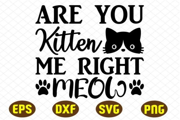 Are You Kitten Me Right Meow Svg Designs Graphics